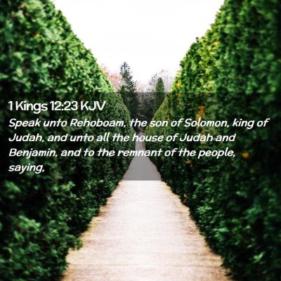 Picture 02 - 1 Kings 12:23 KJV - Speak unto Rehoboam, the son of Solomon, king of - Bible Verse Picture