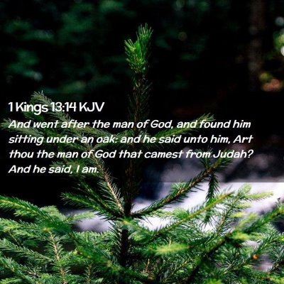Picture 02 - 1 Kings 13:14 KJV - And went after the man of God, and found him - Bible Verse Picture