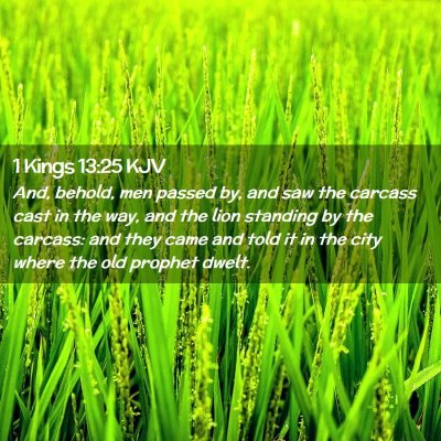 Picture 02 - 1 Kings 13:25 KJV - And, behold, men passed by, and saw the carcass - Bible Verse Picture
