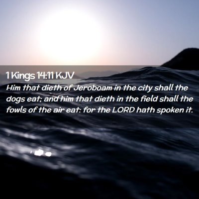 Picture 02 - 1 Kings 14:11 KJV - Him that dieth of Jeroboam in the city shall the - Bible Verse Picture