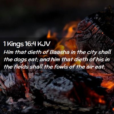 Picture 02 - 1 Kings 16:4 KJV - Him that dieth of Baasha in the city shall the - Bible Verse Picture