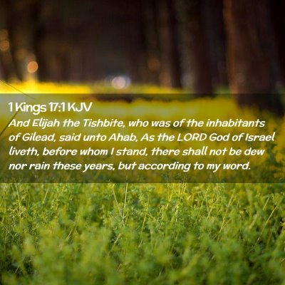 Picture 02 - 1 Kings 17:1 KJV - And Elijah the Tishbite, who was of the - Bible Verse Picture