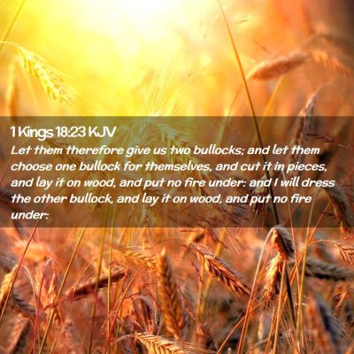 Picture 02 - 1 Kings 18:23 KJV - Let them therefore give us two bullocks; and let - Bible Verse Picture