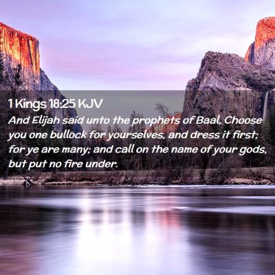 Picture 02 - 1 Kings 18:25 KJV - And Elijah said unto the prophets of Baal, Choose - Bible Verse Picture