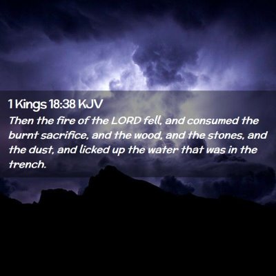 Picture 02 - 1 Kings 18:38 KJV - Then the fire of the LORD fell, and consumed the - Bible Verse Picture