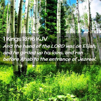 Picture 02 - 1 Kings 18:46 KJV - And the hand of the LORD was on Elijah; and he - Bible Verse Picture