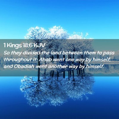 Picture 02 - 1 Kings 18:6 KJV - So they divided the land between them to pass - Bible Verse Picture