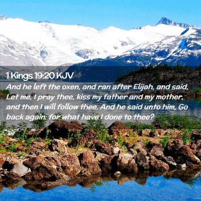 Picture 02 - 1 Kings 19:20 KJV - And he left the oxen, and ran after Elijah, and - Bible Verse Picture