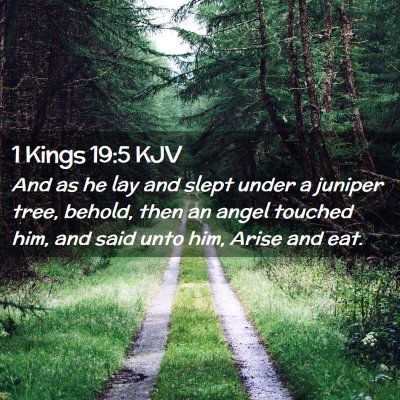 Picture 02 - 1 Kings 19:5 KJV - And as he lay and slept under a juniper tree, - Bible Verse Picture