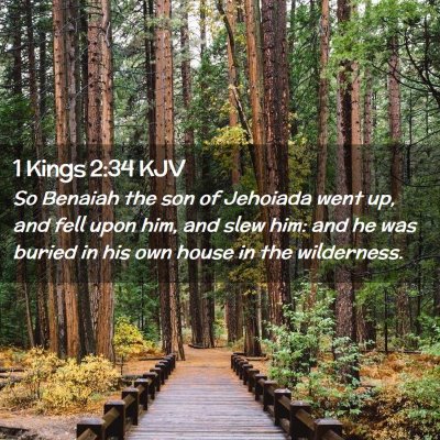 Picture 02 - 1 Kings 2:34 KJV - So Benaiah the son of Jehoiada went up, and fell - Bible Verse Picture