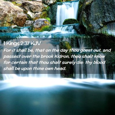 Picture 02 - 1 Kings 2:37 KJV - For it shall be, that on the day thou goest out, - Bible Verse Picture