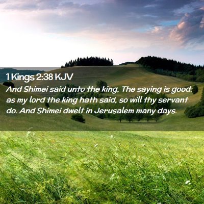 Picture 02 - 1 Kings 2:38 KJV - And Shimei said unto the king, The saying is - Bible Verse Picture