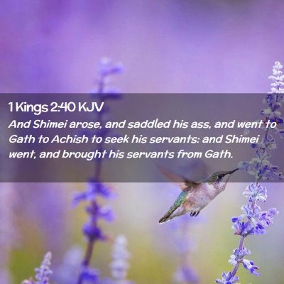 Picture 02 - 1 Kings 2:40 KJV - And Shimei arose, and saddled his ass, and went - Bible Verse Picture