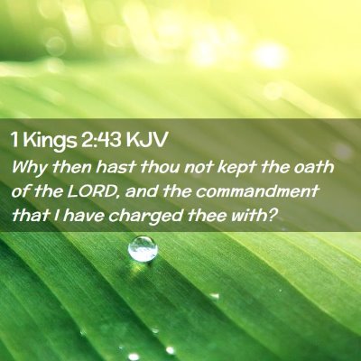 Picture 02 - 1 Kings 2:43 KJV - Why then hast thou not kept the oath of the LORD, - Bible Verse Picture