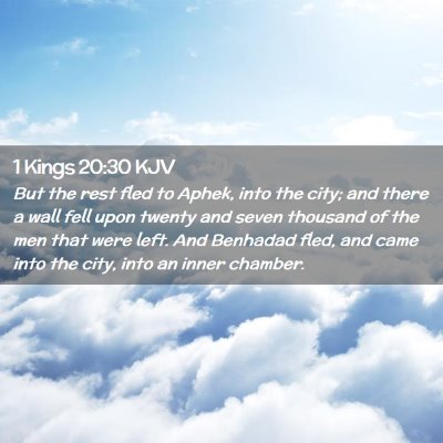 Picture 02 - 1 Kings 20:30 KJV - But the rest fled to Aphek, into the city; and - Bible Verse Picture