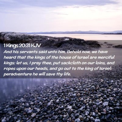 Picture 02 - 1 Kings 20:31 KJV - And his servants said unto him, Behold now, we - Bible Verse Picture