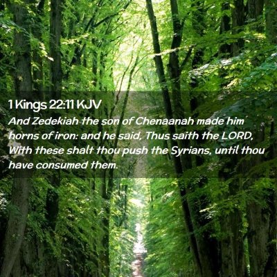 Picture 02 - 1 Kings 22:11 KJV - And Zedekiah the son of Chenaanah made him horns - Bible Verse Picture