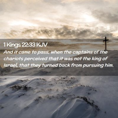 Picture 02 - 1 Kings 22:33 KJV - And it came to pass, when the captains of the - Bible Verse Picture