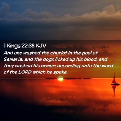Picture 02 - 1 Kings 22:38 KJV - And one washed the chariot in the pool of - Bible Verse Picture