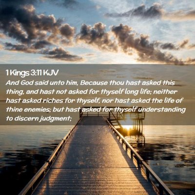 Picture 02 - 1 Kings 3:11 KJV - And God said unto him, Because thou hast asked - Bible Verse Picture