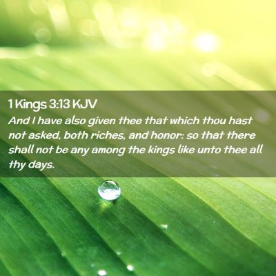 Picture 02 - 1 Kings 3:13 KJV - And I have also given thee that which thou hast - Bible Verse Picture