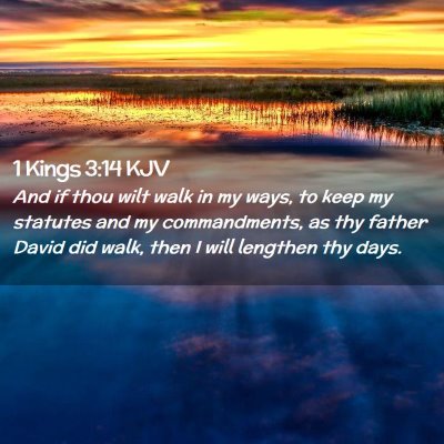 Picture 02 - 1 Kings 3:14 KJV - And if thou wilt walk in my ways, to keep my - Bible Verse Picture