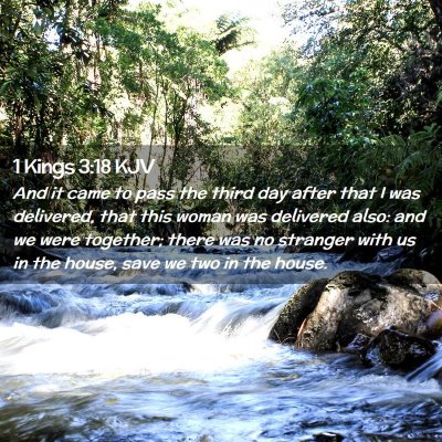Picture 02 - 1 Kings 3:18 KJV - And it came to pass the third day after that I - Bible Verse Picture