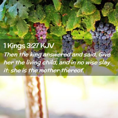 Picture 02 - 1 Kings 3:27 KJV - Then the king answered and said, Give her the - Bible Verse Picture