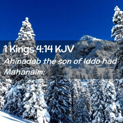 Picture 02 - 1 Kings 4:14 KJV - Ahinadab the son of Iddo had - Bible Verse Picture