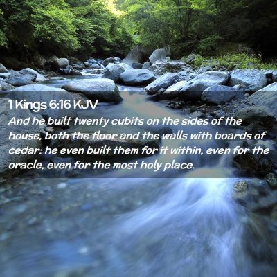 Picture 02 - 1 Kings 6:16 KJV - And he built twenty cubits on the sides of the - Bible Verse Picture