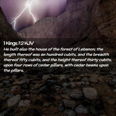 Picture 02 - 1 Kings 7:2 KJV - He built also the house of the forest of Lebanon; - Bible Verse Picture