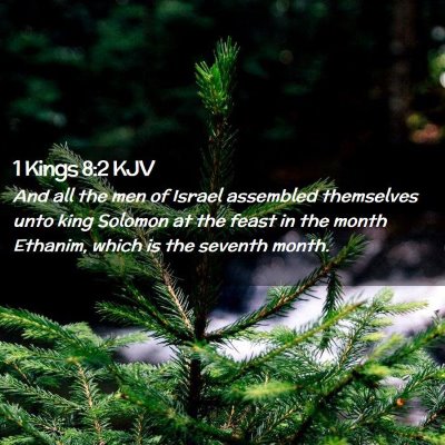 Picture 02 - 1 Kings 8:2 KJV - And all the men of Israel assembled themselves - Bible Verse Picture