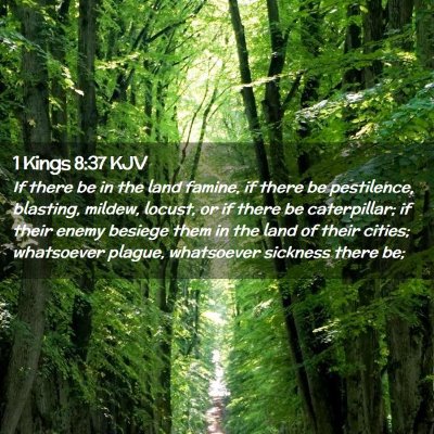Picture 02 - 1 Kings 8:37 KJV - If there be in the land famine, if there be - Bible Verse Picture