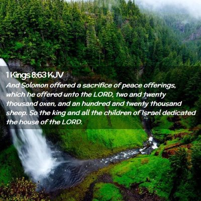 Picture 02 - 1 Kings 8:63 KJV - And Solomon offered a sacrifice of peace - Bible Verse Picture