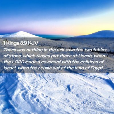 Picture 02 - 1 Kings 8:9 KJV - There was nothing in the ark save the two tables - Bible Verse Picture