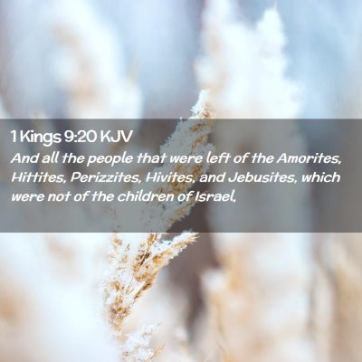 Picture 02 - 1 Kings 9:20 KJV - And all the people that were left of the - Bible Verse Picture