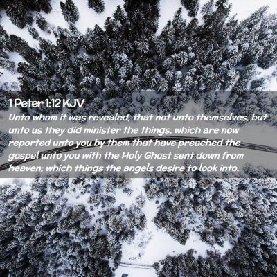 Picture 02 - 1 Peter 1:12 KJV - Unto whom it was revealed, that not unto - Bible Verse Picture