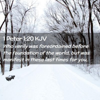 Picture 02 - 1 Peter 1:20 KJV - Who verily was foreordained before the foundation - Bible Verse Picture