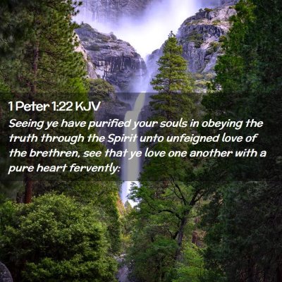 Picture 02 - 1 Peter 1:22 KJV - Seeing ye have purified your souls in obeying the - Bible Verse Picture