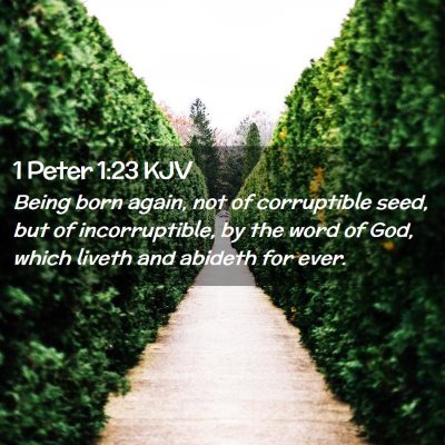 Picture 02 - 1 Peter 1:23 KJV - Being born again, not of corruptible seed, but of - Bible Verse Picture