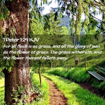 Picture 02 - 1 Peter 1:24 KJV - For all flesh is as grass, and all the glory of - Bible Verse Picture