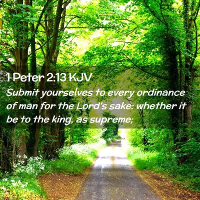 Picture 02 - 1 Peter 2:13 KJV - Submit yourselves to every ordinance of man for - Bible Verse Picture