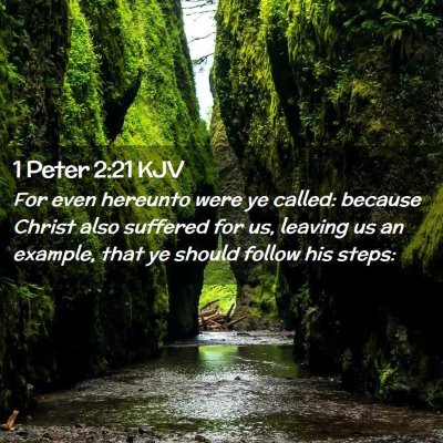 Picture 02 - 1 Peter 2:21 KJV - For even hereunto were ye called: because Christ - Bible Verse Picture