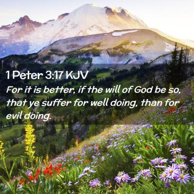 Picture 02 - 1 Peter 3:17 KJV - For it is better, if the will of God be so, that - Bible Verse Picture