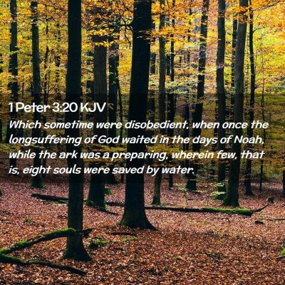 Picture 02 - 1 Peter 3:20 KJV - Which sometime were disobedient, when once the - Bible Verse Picture