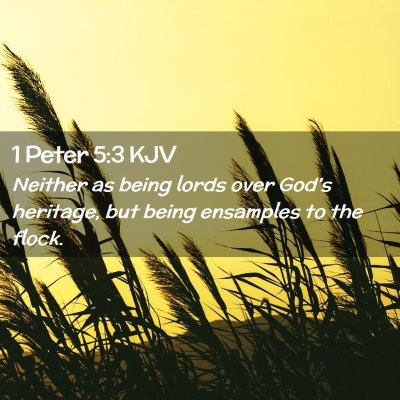 Picture 02 - 1 Peter 5:3 KJV - Neither as being lords over God's heritage, but - Bible Verse Picture