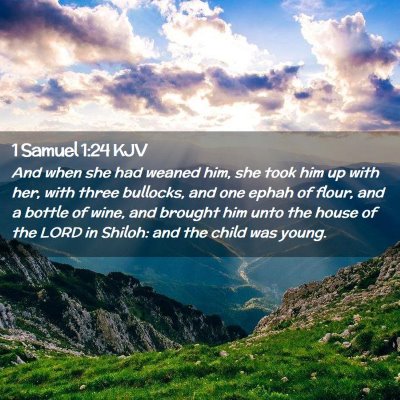 Picture 02 - 1 Samuel 1:24 KJV - And when she had weaned him, she took him up with - Bible Verse Picture