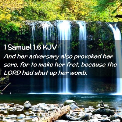 Picture 02 - 1 Samuel 1:6 KJV - And her adversary also provoked her sore, for to - Bible Verse Picture