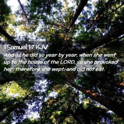 Picture 02 - 1 Samuel 1:7 KJV - And as he did so year by year, when she went up - Bible Verse Picture