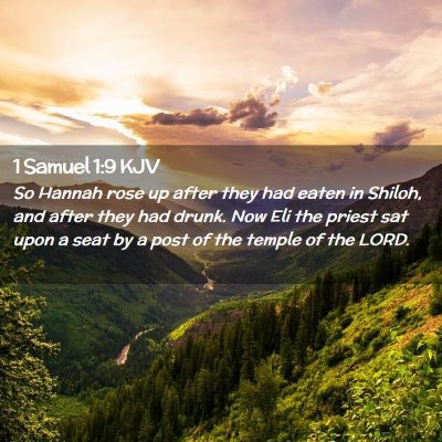 Picture 02 - 1 Samuel 1:9 KJV - So Hannah rose up after they had eaten in Shiloh, - Bible Verse Picture